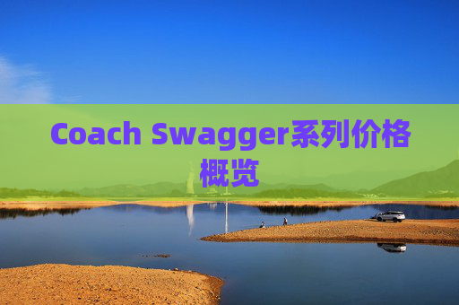 Coach Swagger系列价格概览